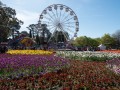 0929-1558 Floriade (1040963)